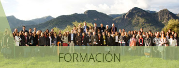 Formación