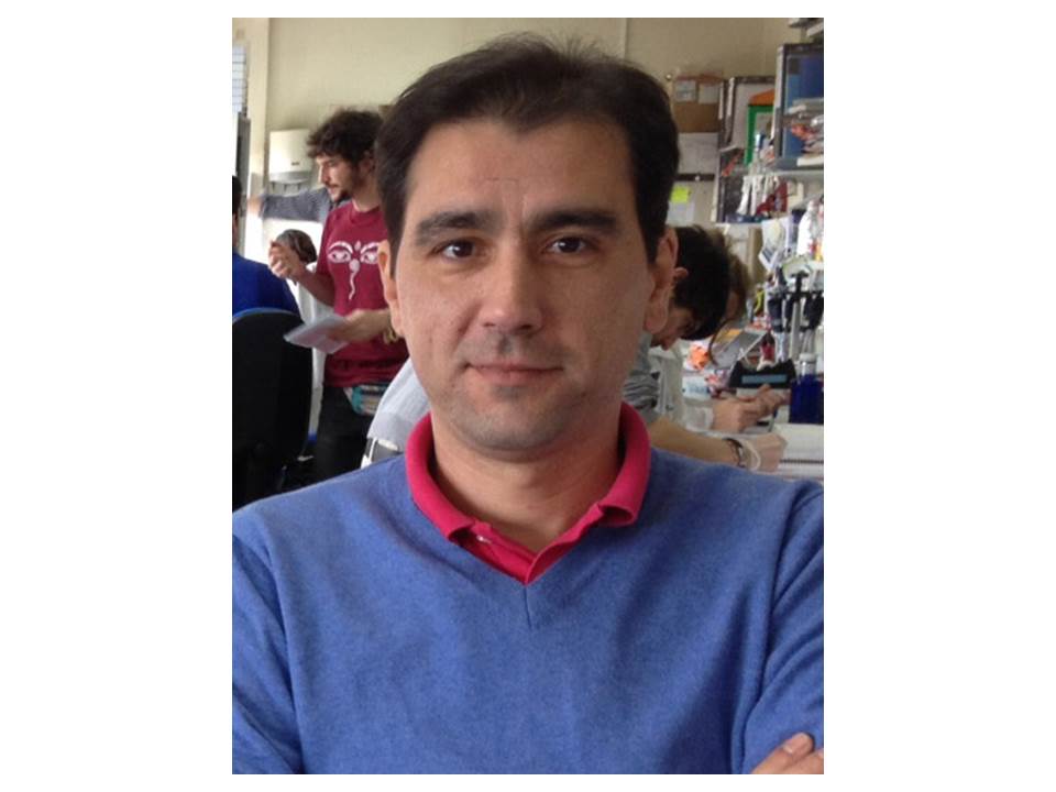 Identifican biomarcadores que aumentan el riesgo cardiovascular en pacientes con enfermedad renal crónica