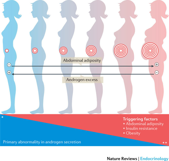 Héctor Escobar Morreale publica una revisión sobre Síndrome de Ovario Poliquístico en Nature Reviews Endocrinology