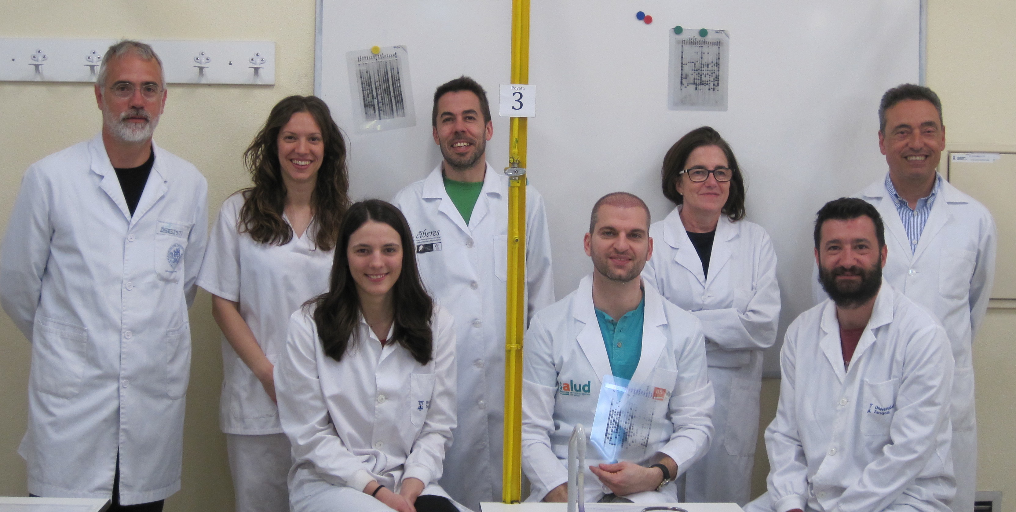 Desvelan las claves de la adaptación y transmisión de la bacteria de la tuberculosis entre las poblaciones humanas