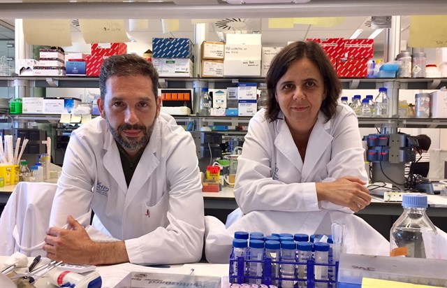 Una proteína abre la puerta a fármacos contra el cáncer de mama triple negativo