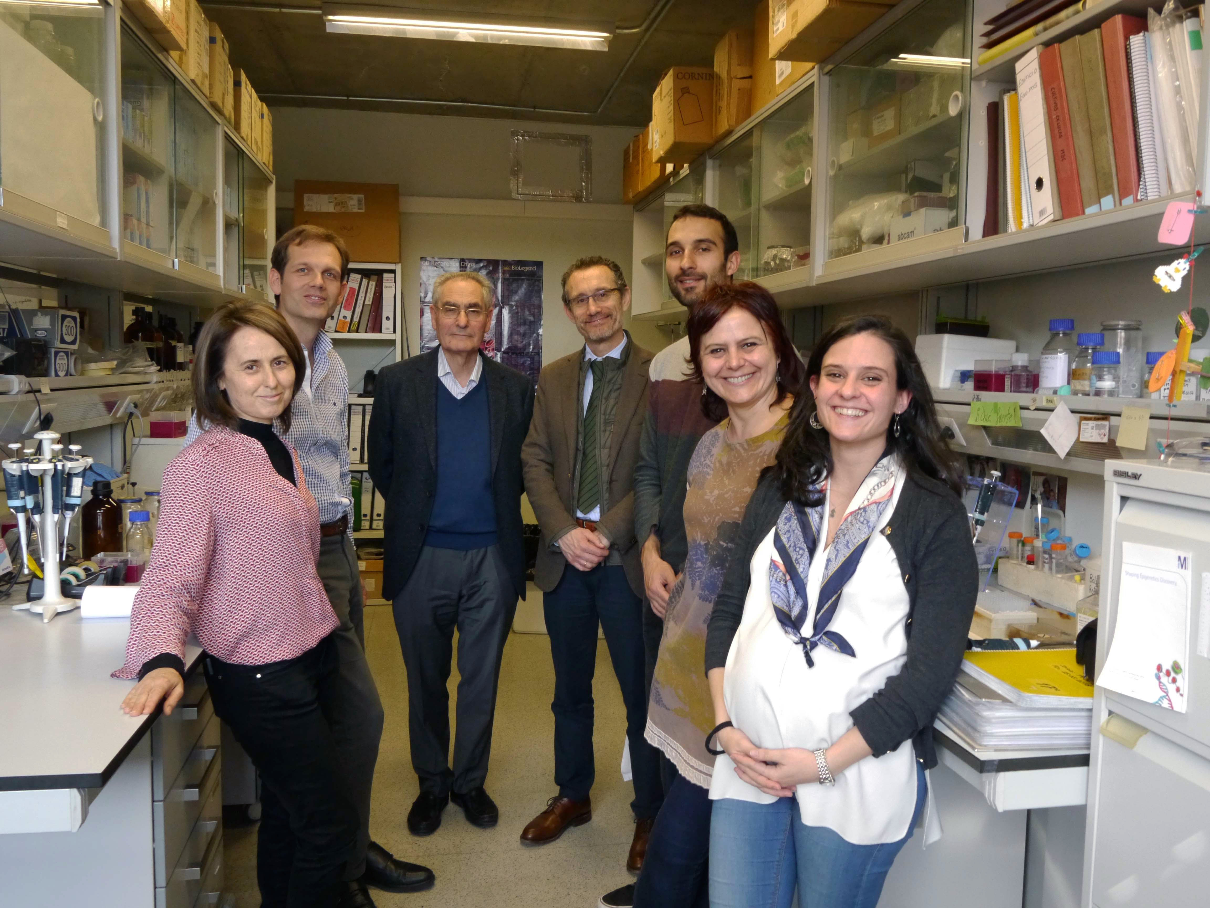 Interferón tipo I, posible diana terapéutica para la estenosis aórtica degenerativa calcificada