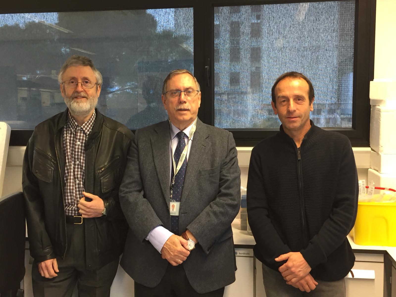 Describen rejuvenecimiento de células “madre” por una sustancia formadora de hueso