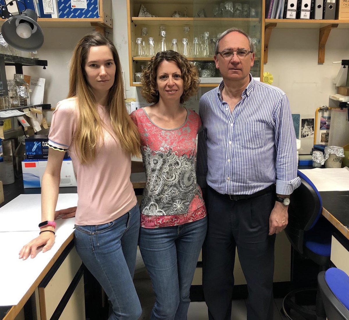 Nuevos avances en el estudio del mecanismo de acción de la vitamina D en pacientes con cáncer colorrectal