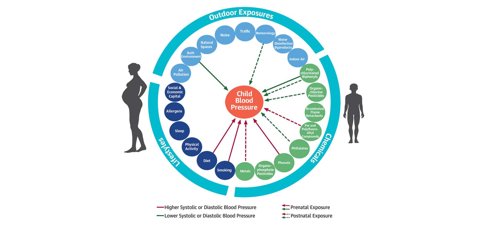 La exposición a factores ambientales durante el embarazo y la niñez podría afectar la tensión arterial en niños y niñas