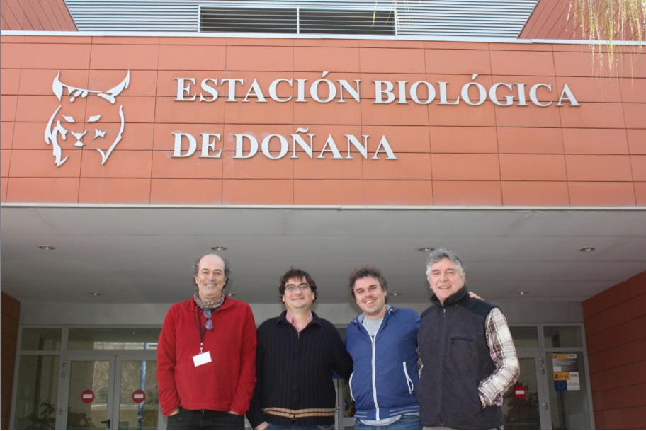 Identificadas las redes de transmisión del parásito que causa la leishmaniosis