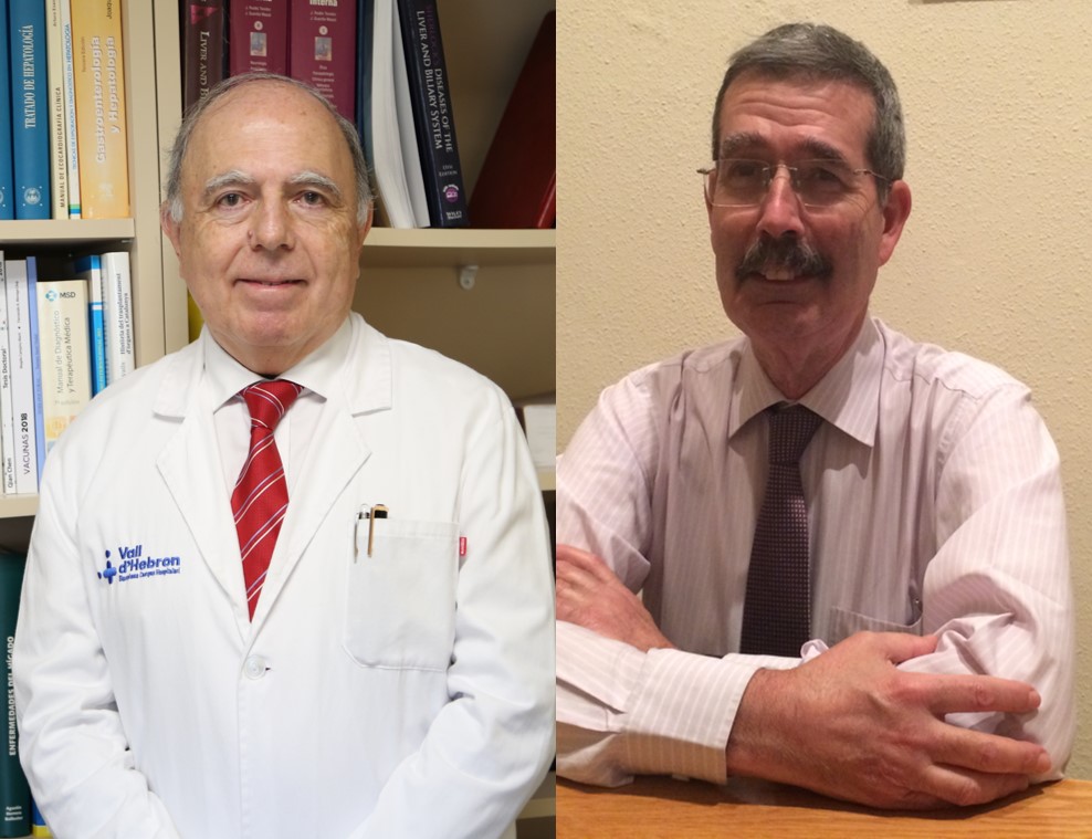 Descubren el papel trascendental de la microbiota intestinal en el desarrollo de hepatitis alcohólica