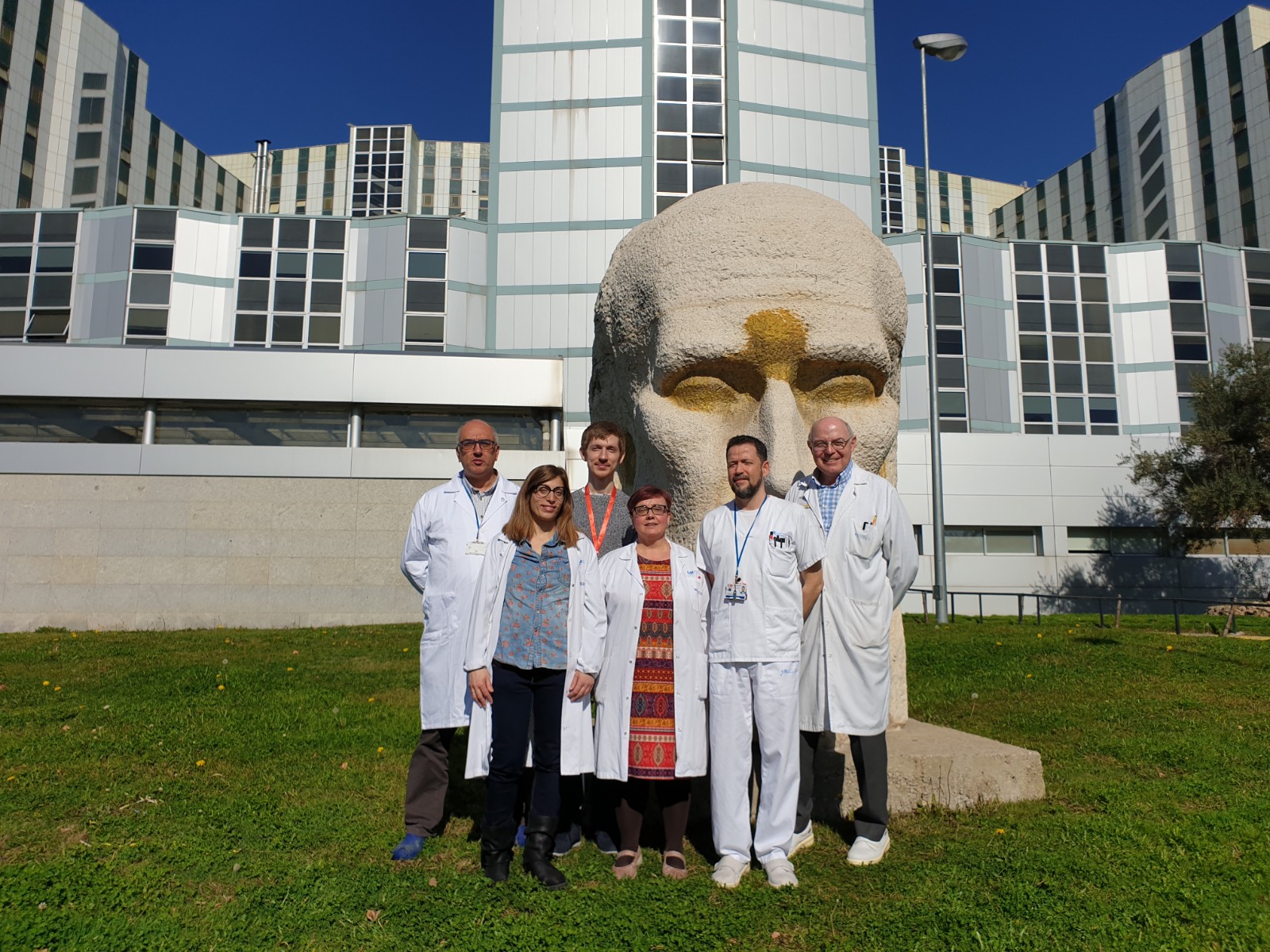 Demuestran que la curcumina ayuda a que las células eliminen lípidos de desecho