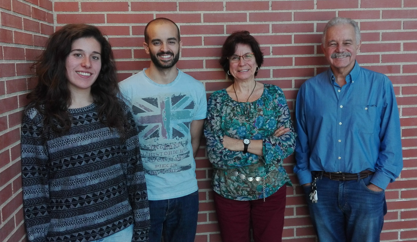 Nuevos modelos celulares cerebrales ayudan a evaluar terapias para el síndrome de Sanfilippo C