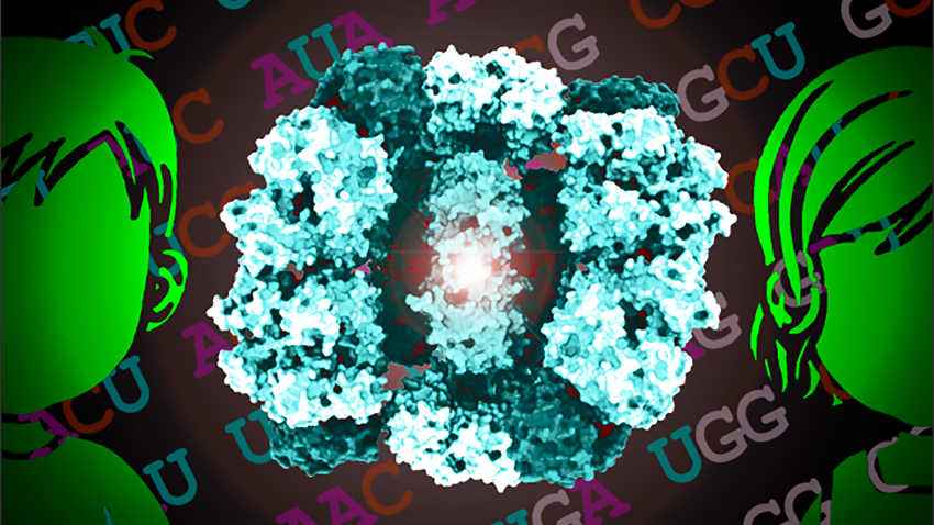 Un nuevo test para una enfermedad metabólica identifica niños que pueden beneficiarse de un tratamiento sencillo