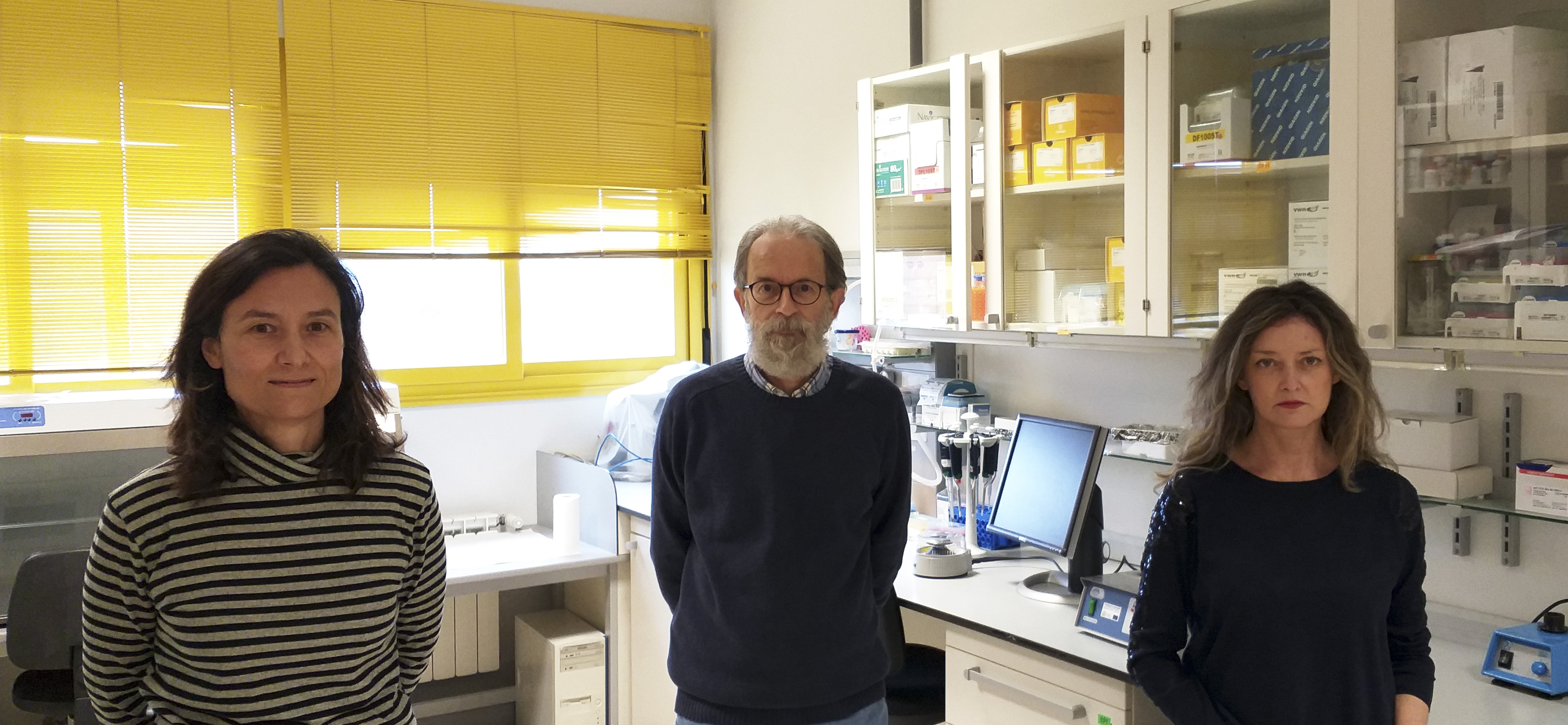 La modulación de la microbiota intestinal contribuye a los beneficios del ejercicio en la obesidad temprana