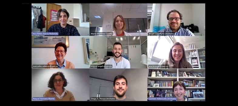 Identificado el papel de los canales de potasio Kv1.3 en el daño vascular producido en la hipertensión arterial