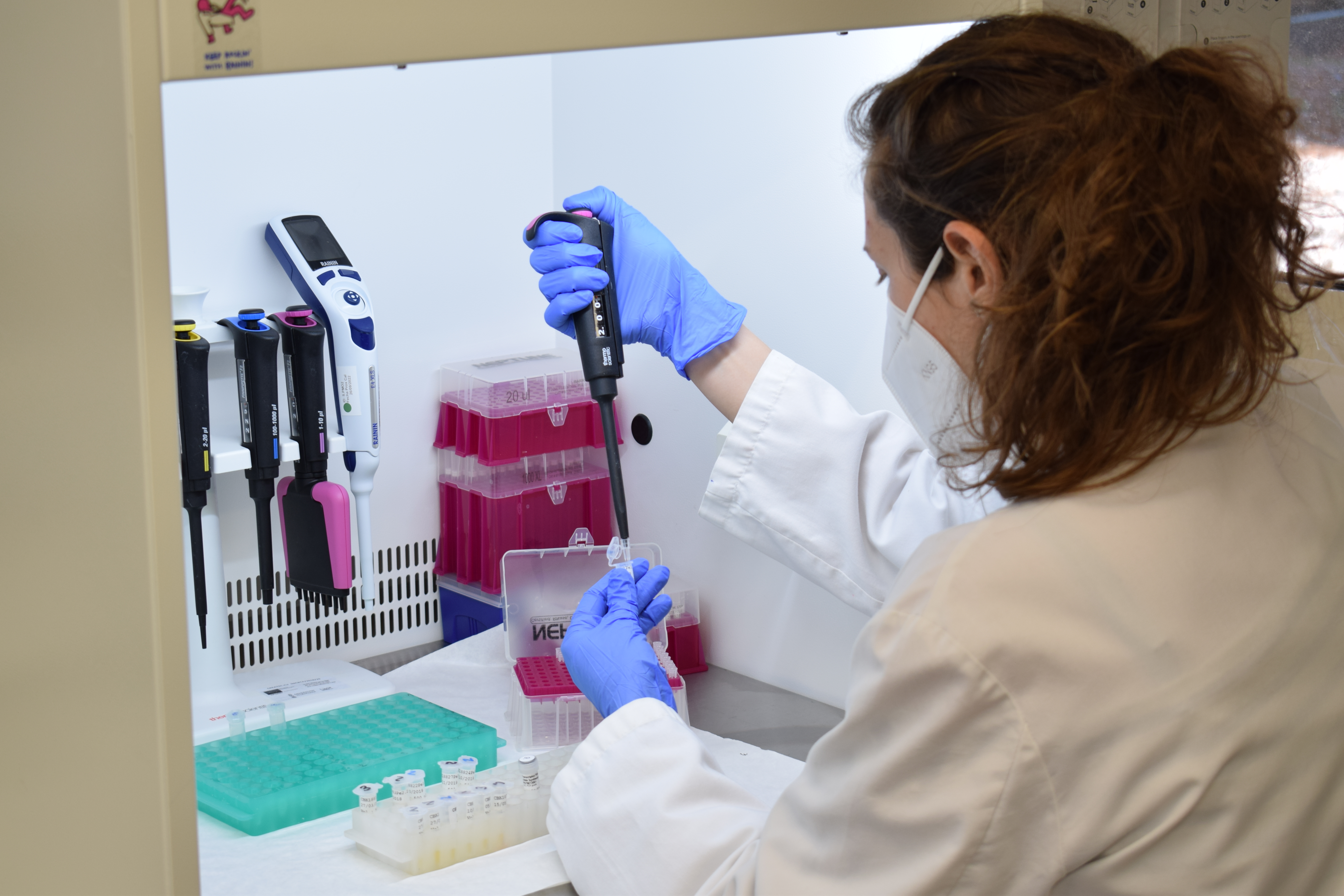 EpiDisease recibe una inversión de 535.000€ para el desarrollo de tests diagnósticos con marcadores epigenéticos