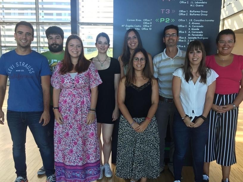 Descubren que la proteína p53 regula la producción de glucosa y está alterada en pacientes con diabetes