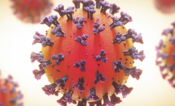 Fondo COVID-19: dos estudios del CIBER-ISCIII precisan el tratamiento individualizado con corticoides y la base genética de la enfermedad grave Fondo COVID-19: dos estudios del CIBER-ISCIII precisan el tratamiento individualizado con corticoides y la base genética de la enfermedad grave