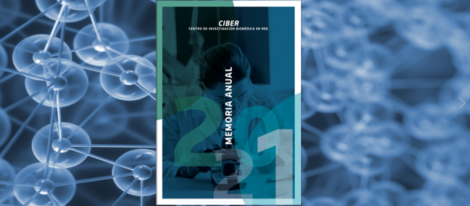 Disponible Memoria CIBER 2021