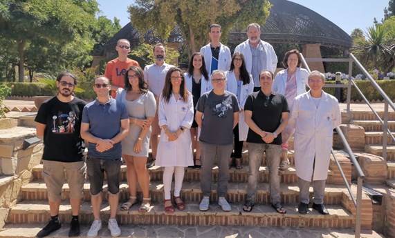 Un estudio sistémico profundiza en el conocimiento molecular de las enfermedades raras dependientes de la angiogénesis Un estudio sistémico profundiza en el conocimiento molecular de las enfermedades raras dependientes de la angiogénesis