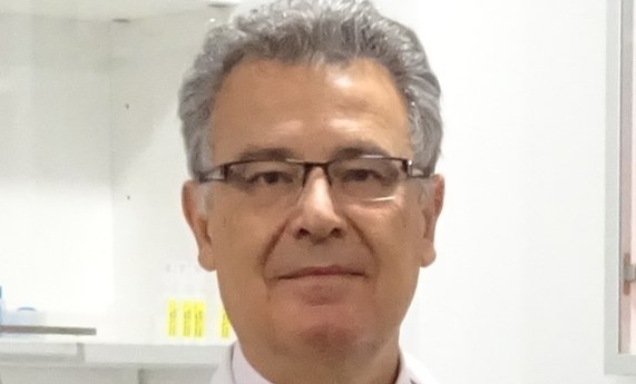 Demuestran la relación clonal de los carcinomas mixtos ductales/lobulillares de mama Demuestran la relación clonal de los carcinomas mixtos ductales/lobulillares de mama