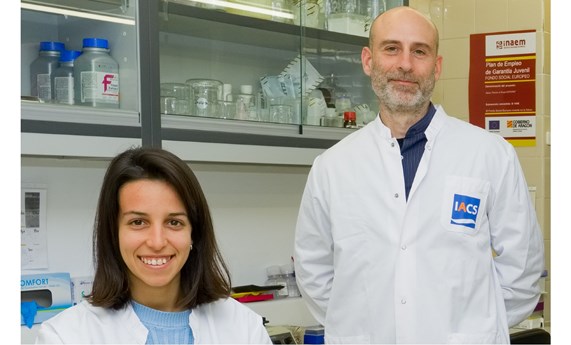 Identifican nuevas dianas en el tejido adiposo implicadas en la progresión de la enfermedad del hígado graso no alcohólico Identifican nuevas dianas en el tejido adiposo implicadas en la progresión de la enfermedad del hígado graso no alcohólico