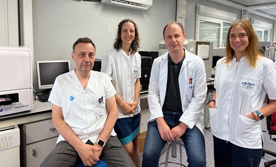 Identifican una nueva línea de probióticos para tratar la obesidad y la diabetes Identifican una nueva línea de probióticos para tratar la obesidad y la diabetes