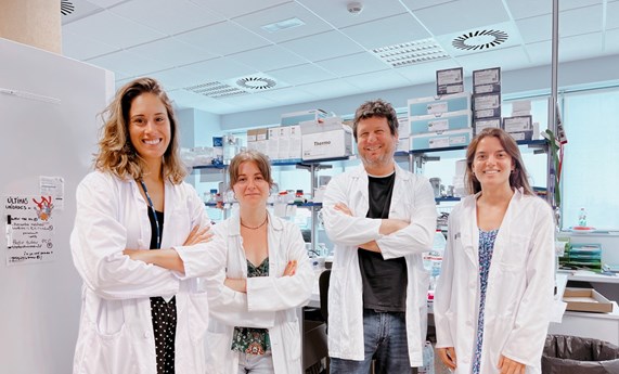 Demuestran los beneficios de la metformina como terapia potencial para combatir la enfermedad de Huntington en modelos preclínicos Demuestran los beneficios de la metformina como terapia potencial para combatir la enfermedad de Huntington en modelos preclínicos