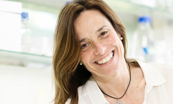 Un estudio revela que el hígado es un órgano diana para la infeccion por SARS-CoV-2 Un estudio revela que el hígado es un órgano diana para la infeccion por SARS-CoV-2