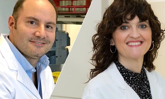 Identifican un biomarcador de respuesta al tratamiento para el cáncer colorrectal metastásico BRAF-V600E Identifican un biomarcador de respuesta al tratamiento para el cáncer colorrectal metastásico BRAF-V600E