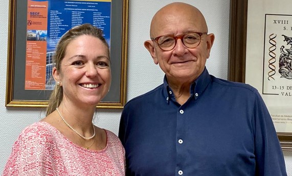 El proyecto Choko-Age analiza los posibles efectos favorables del chocolate enriquecido con vitamina E en mayores con deterioro cognitivo leve El proyecto Choko-Age analiza los posibles efectos favorables del chocolate enriquecido con vitamina E en mayores con deterioro cognitivo leve