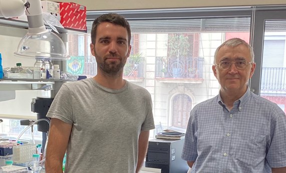 La evolución de la leucemia ya está escrita desde su inicio en el momento del diagnóstico La evolución de la leucemia ya está escrita desde su inicio en el momento del diagnóstico