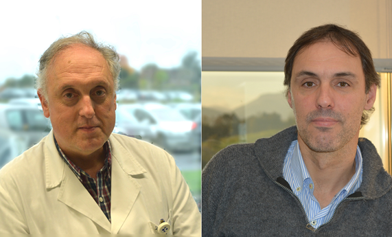 Revelan características moleculares del envejecimiento prematuro en la Distrofia Miotónica tipo 1 que podrían ser revertidos con compuestos senolíticos Revelan características moleculares del envejecimiento prematuro en la Distrofia Miotónica tipo 1 que podrían ser revertidos con compuestos senolíticos