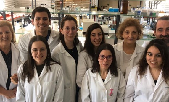 La transtirretina, una proteína  clave en el desarrollo de la fibrosis cardíaca asociada a la obesidad La transtirretina, una proteína  clave en el desarrollo de la fibrosis cardíaca asociada a la obesidad