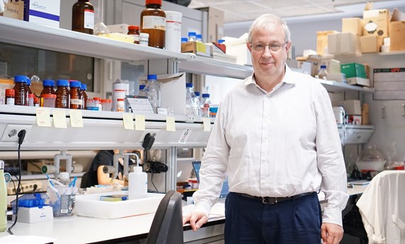 El director científico del CIBER-BBN, Ramón Martínez Máñez, obtiene una ERC Advanced Grant El director científico del CIBER-BBN, Ramón Martínez Máñez, obtiene una ERC Advanced Grant