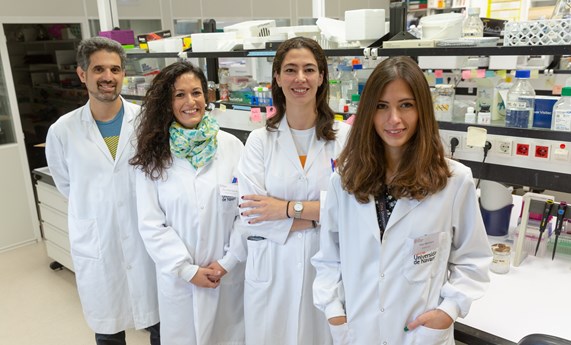 Un equipo del CIBER-BBN, CIBERCV y CIBERONC desarrolla un sistema que predice la funcionalidad de un corazón artificial Un equipo del CIBER-BBN, CIBERCV y CIBERONC desarrolla un sistema que predice la funcionalidad de un corazón artificial