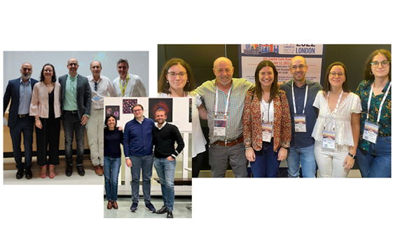 Descubren los mecanismos causantes de la trombocitopenia hereditaria relacionada con GALE Descubren los mecanismos causantes de la trombocitopenia hereditaria relacionada con GALE