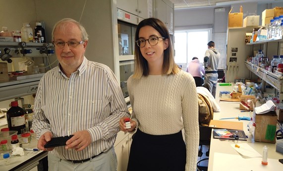 Un nuevo test detecta burundanga y droga caníbal en muestras de saliva y bebidas de forma rápida y sencilla Un nuevo test detecta burundanga y droga caníbal en muestras de saliva y bebidas de forma rápida y sencilla