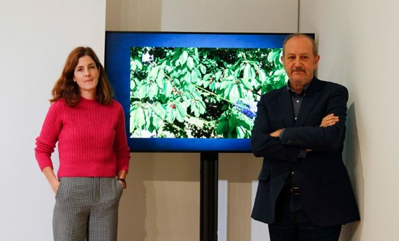 Un estudio durante 22 años encuentra asociación entre la exposición infantil a pesticidas y el adelanto en la pubertad Un estudio durante 22 años encuentra asociación entre la exposición infantil a pesticidas y el adelanto en la pubertad