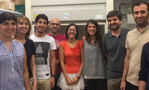 El fármaco más común para la diabetes tipo 2 precisa de la acción de una ‘proteína de respuesta al estrés celular’ para ejercer su efecto El fármaco más común para la diabetes tipo 2 precisa de la acción de una ‘proteína de respuesta al estrés celular’ para ejercer su efecto