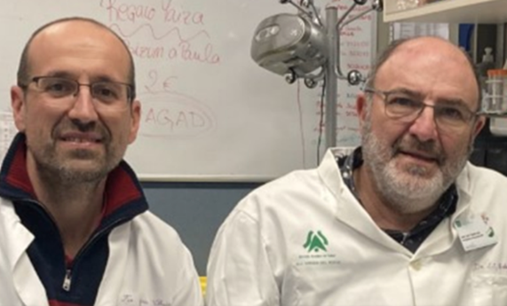 Demuestran la capacidad del SARS-CoV-2 de infectar y producir daño cerebral y su protección con la vacuna del CNB-CSIC Demuestran la capacidad del SARS-CoV-2 de infectar y producir daño cerebral y su protección con la vacuna del CNB-CSIC