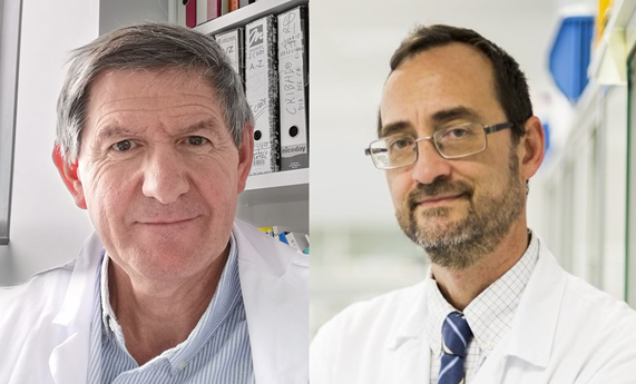 Un paso más hacia la medicina personalizada del cáncer de colon Un paso más hacia la medicina personalizada del cáncer de colon