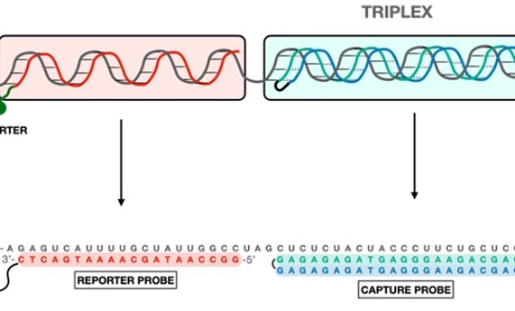 Nuevo método para la detección de virus ARN como el SARS-CoV-2 Nuevo método para la detección de virus ARN como el SARS-CoV-2