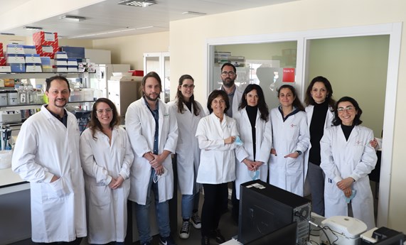 Estudian el potencial de miRNAs de las vesículas extracelulares para aliviar la obesidad asociada a la disfunción metabólica Estudian el potencial de miRNAs de las vesículas extracelulares para aliviar la obesidad asociada a la disfunción metabólica