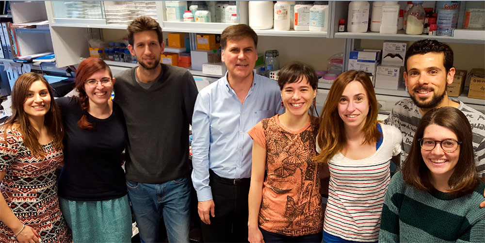 El tratamiento con tiamina podría ser útil frente a la enfermedad de Huntington