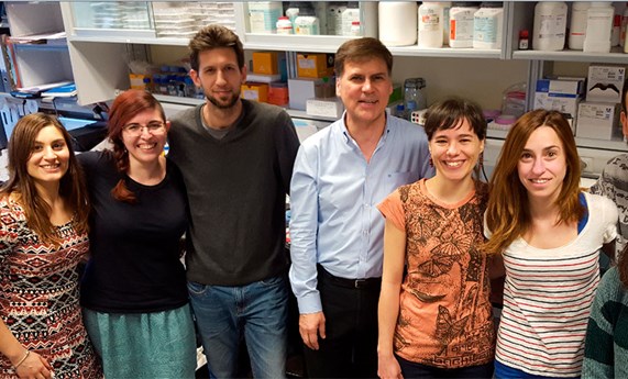 El tratamiento con tiamina podría ser útil frente a la enfermedad de Huntington El tratamiento con tiamina podría ser útil frente a la enfermedad de Huntington