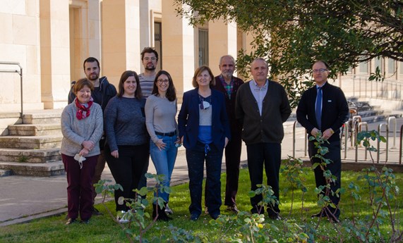 Confirmado en un modelo porcino el poder del escualeno, componente del aceite de oliva virgen, para controlar el hígado graso Confirmado en un modelo porcino el poder del escualeno, componente del aceite de oliva virgen, para controlar el hígado graso