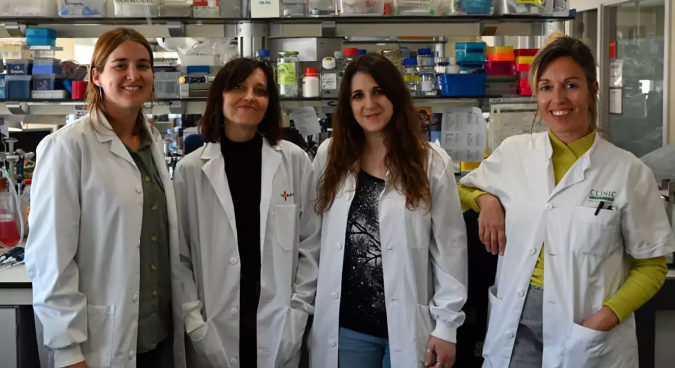 Obtienen células productoras de insulina a partir de fibroblastos humanos