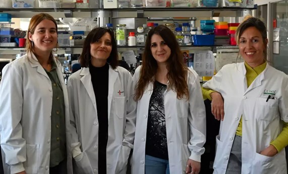 Obtienen células productoras de insulina a partir de fibroblastos humanos Obtienen células productoras de insulina a partir de fibroblastos humanos