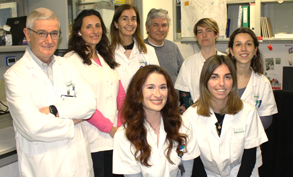 Demuestran que la inhibición de la proteína antiapoptótica survivina mejora la hipertensión pulmonar en un modelo experimental Demuestran que la inhibición de la proteína antiapoptótica survivina mejora la hipertensión pulmonar en un modelo experimental