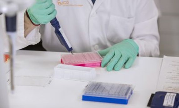 Las pruebas moleculares permiten detectar de forma más eficaz el cáncer de endometrio y evitar histerectomías innecesarias en mujeres con sangrado post menopáusico Las pruebas moleculares permiten detectar de forma más eficaz el cáncer de endometrio y evitar histerectomías innecesarias en mujeres con sangrado post menopáusico