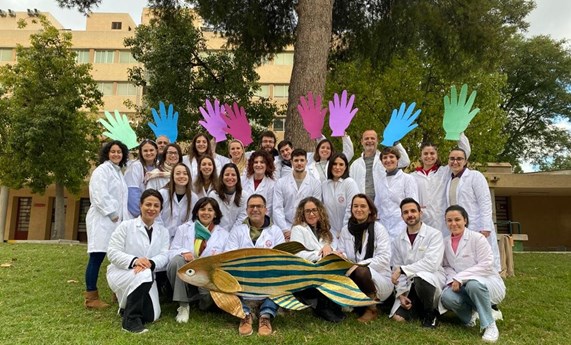 Avances en la búsqueda de tratamiento de personas afectadas por problemas en la producción de células sanguíneas Avances en la búsqueda de tratamiento de personas afectadas por problemas en la producción de células sanguíneas