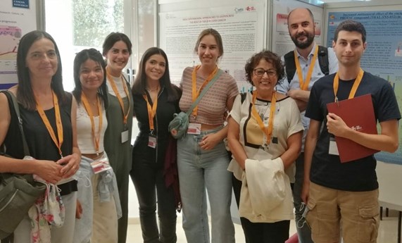 Nuevos avances en el análisis de los mecanismos que explican el papel dual de TGF-beta en carcinoma hepatocelular Nuevos avances en el análisis de los mecanismos que explican el papel dual de TGF-beta en carcinoma hepatocelular